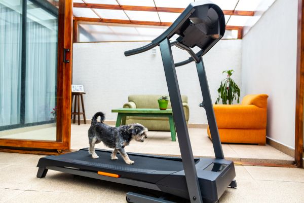 Treadmill Installation in Rock Hill