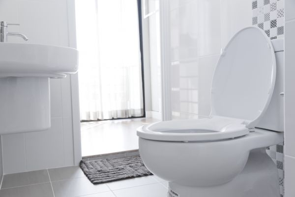 Toilet Seat Installation in Rock Hill