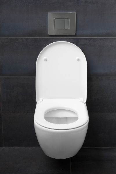 Toilet Lid Installation in Rock Hill
