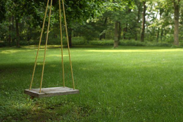 Rope Swing Installation in Rock Hill