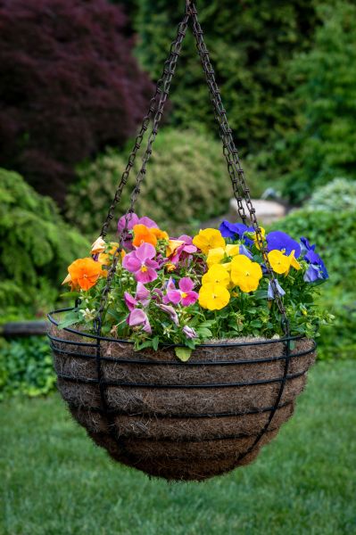 Hanging Basket Installation in Rock Hill