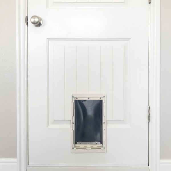 Pet Door Repair in Rock Hill