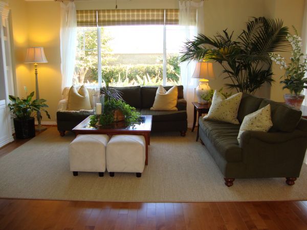 Valance Rod Installation in Rock Hill
