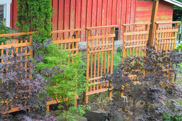 Wood Trellis Mounting in Rock Hill