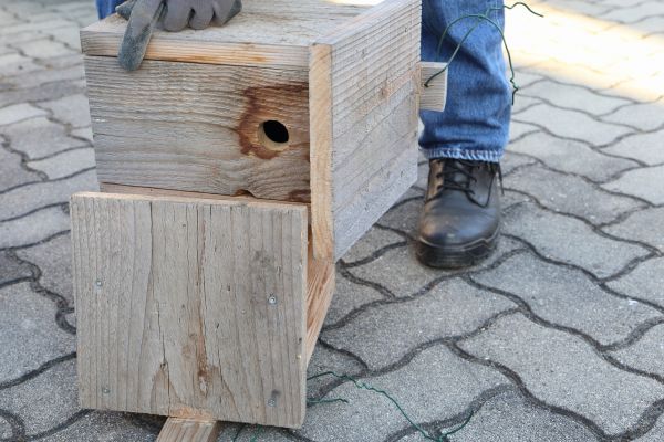 Birdhouse Mounting in Rock Hill