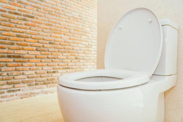 Toilet Seat Repair in Rock Hill