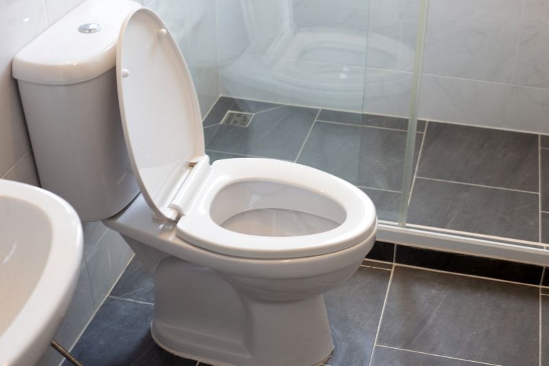 Toilet Lid Installation